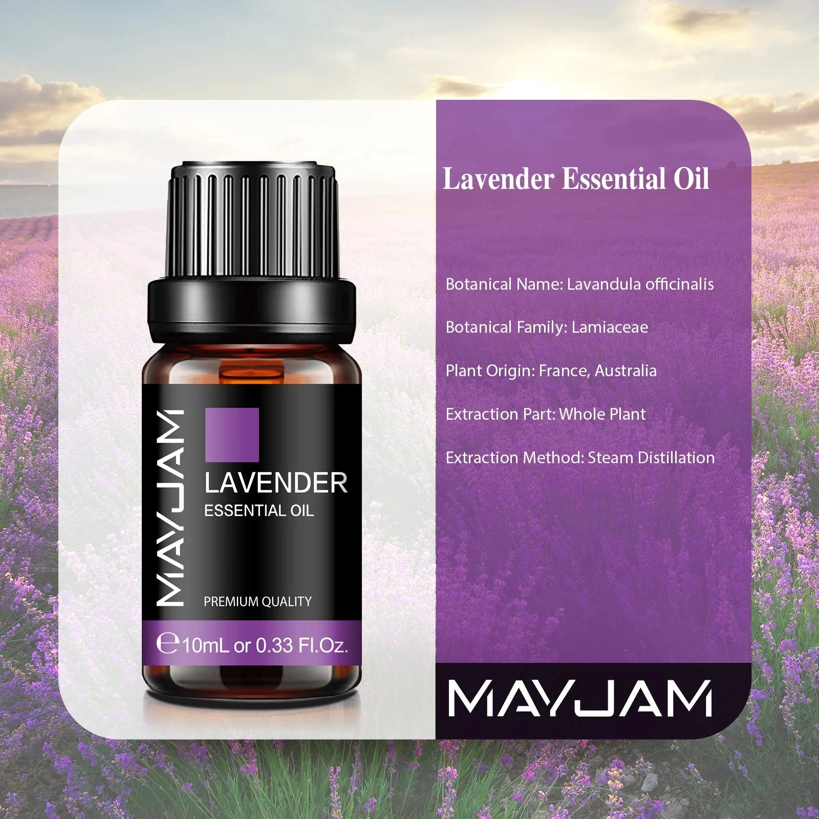 MAYJAM 10ML Essential Oil Lavender Jasmine Eucalyptus Vanilla Sandalwood Bergamot Rosemary Citronella Cinnamon Fragrance Oil 99 in 1